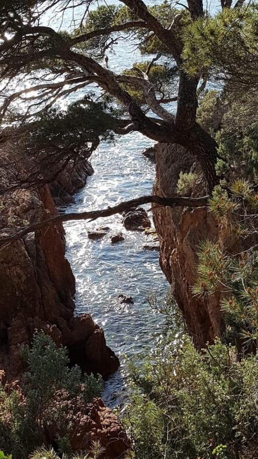 Saint Raphael, Cap Esterel Le Hameau. Vue Mer Exterior photo